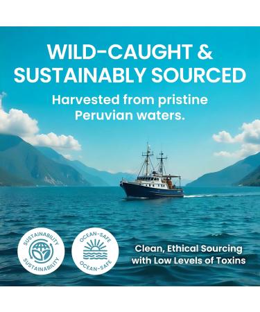 Mini Fish Oil Softgels Odorless, Burpless & Easy to Swallow 1500mg Omega 3 with EPA & DHA Advanced Formula Fish Oil Minis Smaller Than a Dime Wild Caught 90 (Mini, Soft Gel) No fishy aftertaste 90 Count (Pack of  - Buy Online on GoSupps.com