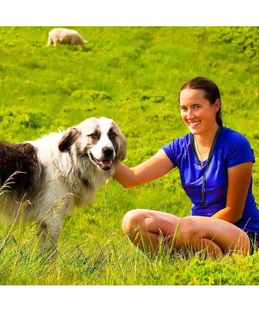 Fannas Dog Whistle - 2 Pack Adjustable High Frequency Dog Training Whistles with Free Pipe Band - Loud & Effective Recall Trainer - Black/Red - Buy Online on GoSupps.com