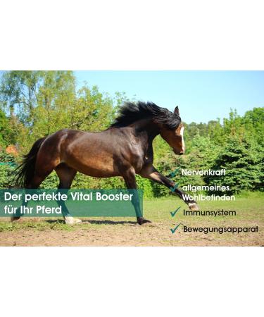 Buy Sowi-Natur Hemp PUR Horse 500g - Support Immune System Joints & Digestion - Premium Hemp Herbs for Horses - Buy Online on GoSupps.com