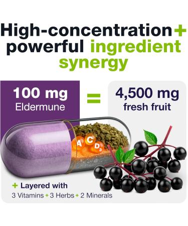 HybridEB Sambucus Elderberry Immune Support with Vitamin C, Zinc, Vitamin D3 - Antioxidant & Immunity Supplement, 1 Month Supply - 9 in 1 Black Elderberry Kids and Adults - 60 Capsules - Buy Online on GoSupps.com