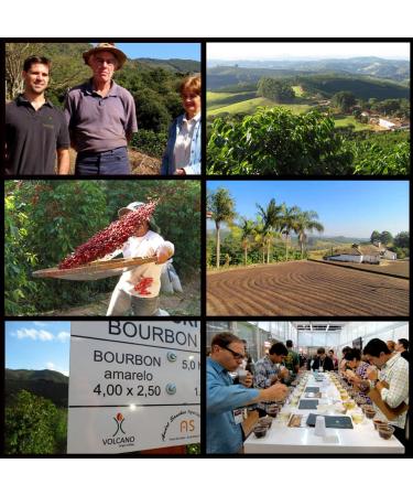 Brazil Adrano Volcano Coffee Green Unroasted Beans (3 LB) - Premium Quality - 100% Arabica - Direct From Farm - Sustainable Sourcing - Buy Online on GoSupps.com