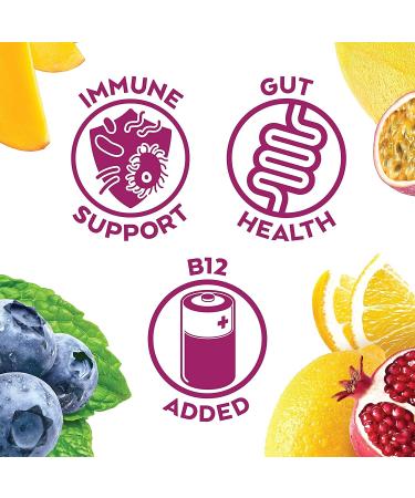 Humm Probiotic Kombucha Seasonal Variety Pack - Organic  2 Billion Probiotics for Gut Health - Watermelon Basil  Mango Passionfruit  and Blueberry Mint (12 Pack) 12 Fl Oz (Pack of 12) - Buy Online on GoSupps.com