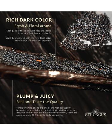 Madagascar Vanilla Beans - Grade B Vanilla Pods - Rich  Creamy Flavor & Aroma - Ingredients for Baking  Homemade Extract  Paste  Brewing  Coffee  Cooking - 6-7"  15 Bean - Buy Online on GoSupps.com