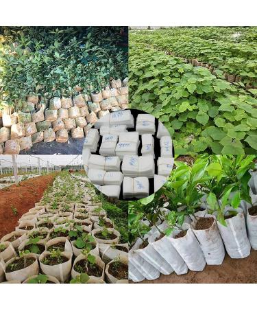 Saterkali 100Pcs Planting Bag High Performance Easy to Use Degradable Nursery Bag for Planting 12cm x 15cm - Buy Online on GoSupps.com