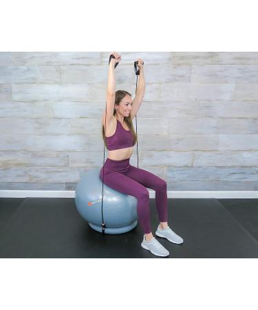Wisemax Exercise Ball Chair Bundle - 65cm Gray with Ring Base, Resistance Bands, Pump, Carry Bag, Poster - Ideal for Home, Office, Gym Workouts - Buy Online on GoSupps.com