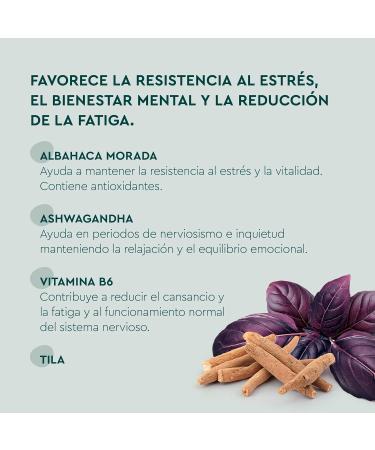 Kneipp Gummies Stress with purple basil tila ashwagandha and vitamin B6 helps with stress mental wellbeing and reduces fatigue 60 gummy bears - Buy Online on GoSupps.com