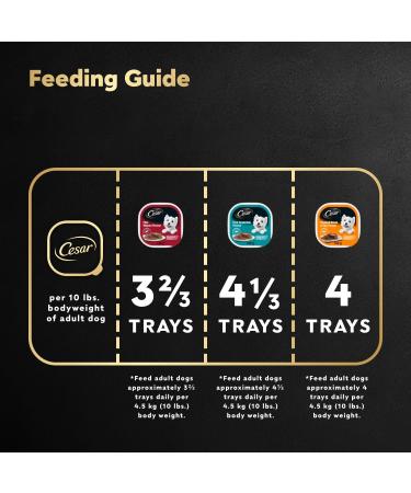 CESAR Classic Loaf in Sauce Adult Wet Dog Food Mealtime Variety Pack with 8 Filet Mignon Flavour 8 Pork Tenderloin Flavour & 8 Smoked Bacon & Egg Flavour 24x100g Trays Dog Food Mealtime Variety Pack 100 g (Pack of 24) - Buy Online on GoSupps.com