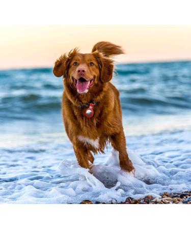 4-Pack Leather AirTag Key Chain Holder - Ultra Tracker Case with Loop Key Ring for Apple AirTags - PU Cover for Wallet/Luggage/Pets - Black/Blue/Brown/Red - Buy Online on GoSupps.com