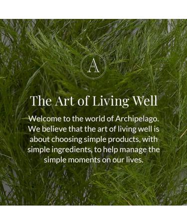 Archipelago Botanicals Oat Milk Hydrating Body Oil Lightweight Jojoba Argan & Rosehip Oils for Dry or Sensitive Skin Wild Oats & Vetiver Aroma 3.4 fl oz - Buy Online on GoSupps.com