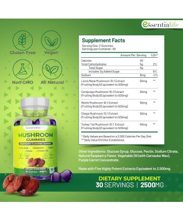 Essentialife Lions Mane Mushroom Supplements | 5-in-1 Mushroom Gummies with Turkey Tail Cordyceps Reishi Chaga Extract | Brain Focus and Immune Support | Raspberry Flavor | 60 ct - Buy Online on GoSupps.com