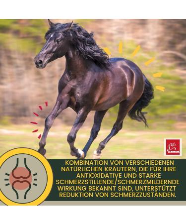 Buy MSM Horse Willow Bark - Equi P Booster with Glucosamine & Chondroitin for Senior Horses | High-Dose Vitamin C & Beer Yeast for Joint Health - Buy Online on GoSupps.com