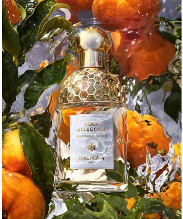Guerlain Aqua Allegoria Mandarin Basilic Eau De Toilette Spray for Unisex 2.5 Ounce 2.5 Ounce (Pack of 1) - Buy Online on GoSupps.com