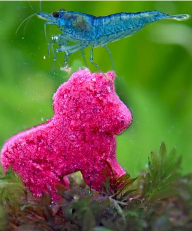 NatureHolic Chris and Olis - Shrimp Mix - 45g - Buy Online on GoSupps.com