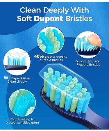 Electric Toothbrush Sonic Toothbrushes with 8 Brush Heads 40000 VPM 5 Modes Sonic Toothbrushes Fast Charge 4 Hours Last 30 Days Rechargeable Toothbrush for Adult Blue - Buy Online on GoSupps.com