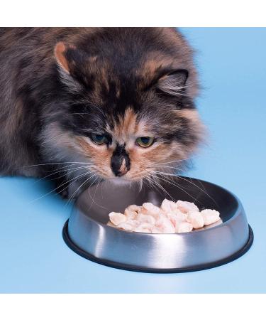 Dr. Catsby's Whisker Relief Food Bowl - Reduce Cat's Discomfort & Mess - Buy Online on GoSupps.com
