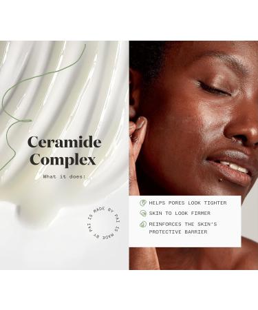 Pai Skincare Organic Instant Kalmer Serum | Natural Vegan Sensitive Skincare - Sea Aster & Schisandra (1 fl oz - Buy Online on GoSupps.com