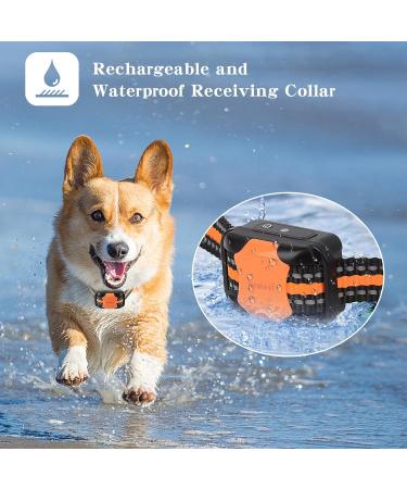 Remote Dog Training Collar - Beep, Vibration Modes - 1000ft Range - Suitable for All Dogs - Buy Online on GoSupps.com