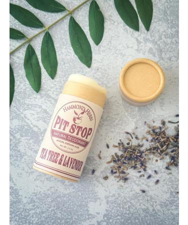 PIT STOP Deodorant - Aluminum-Free Plastic-Free All-Natural Tea Tree & Lavender Odor Control | International Shipping Available - Buy Online on GoSupps.com