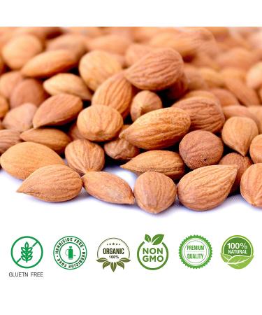 Bitter Apricot Seeds 1lb - Natural Source of Vitamin B17 | Large & Raw | Vegan | Non GMO | California Grown | Pesticide & Herbicide Free | Recyclable Stay Fresh Pouch - Buy Online on GoSupps.com