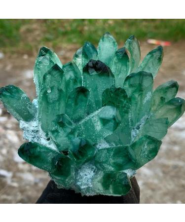 Home Decor 300-700g Natural Green Ghost Quartz Crystal Cluster Crystals raw Gemstone for Home&Office Decoration fengshui Home Collections (Size : 400-500g) - Buy Online on GoSupps.com