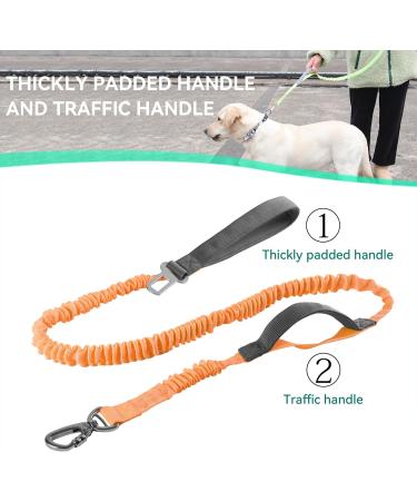 Yithome Dog Leash with Seat Belt Snaps | Training Leash for Small Medium & Large Dogs | 2 Traffic Handles & Carabiner Hooks | Blue Nylon Rope - Buy Online on GoSupps.com