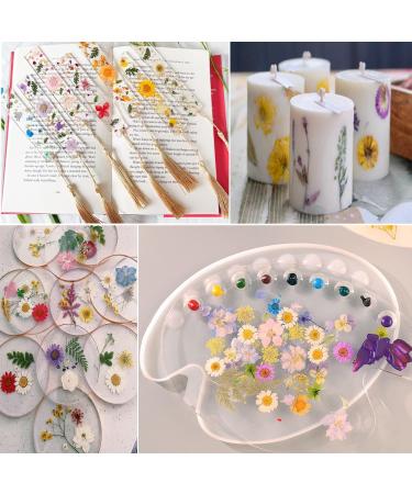 141PCS Real Nature Dried Pressed Flowers for Resin Mold - DIY Jewelry, Nail Art & Scrapbook Decor - Buy Online on GoSupps.com