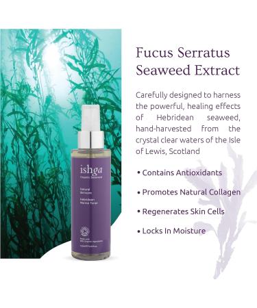 Ishga Face Toner Natural & Organic Skincare with Scottish Seaweed | Vegan Cruelty-Free | Cucumber Aloe Vera & Mandarin | All Skin Types | 5.07 fl oz (150ml - Buy Online on GoSupps.com