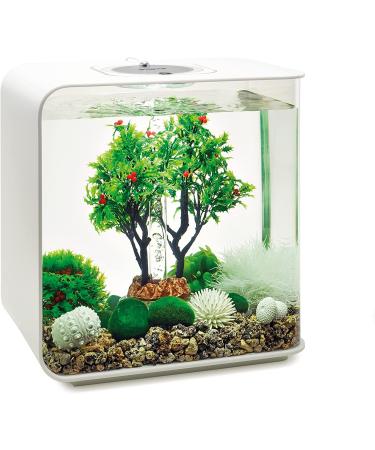 Buy Biorb 55028 Winter Decor Set 30L - Realistic Aquatic Plants Roots & Stones for Freshwater & Saltwater Aquariums - Buy Online on GoSupps.com