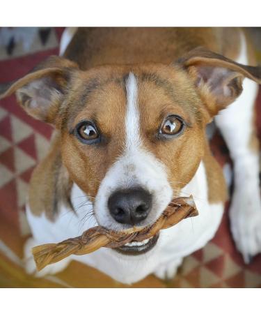 Carnello Causstangen Dog Treats - Grain Free Alpine Happiness - Pack of 5 | Healthy Chewing Snacks for Dogs - Buy Online on GoSupps.com