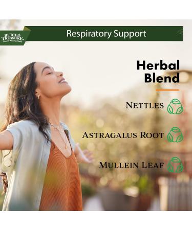 Buried Treasures Aller Ease - 16 fl oz. Liquid Supplement w/ Quercetin, Bromelain, Mullein, Supports Immune, Sinus Comfort, Non-Drowsy Herbal Formula - Buy Online on GoSupps.com