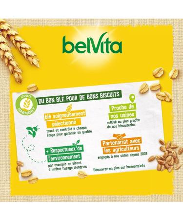 LU BELVITA - 10 Bo tes de 5 Sachets de Biscuits Belvita Moelleux Fourrage Chocolat Noisette et 5 C r ales Compl tes - Biscuits Petit D jeuner Gourmands et Pratiques Emporter - Lot de 10x250g Chocolat Noisette et 5 C r ales Compl tes Grand format - Buy Online on GoSupps.com