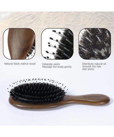 GAINWELL Small Hair Brush - Boar Bristle Hairbrush for Detangling & Smoothing Thick, Curly, Thin, Long or Short Hair - Mini Brush for Purse, Gym Bag, Car, Locker - Buy Online on GoSupps.com