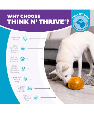 Outward Hound Planet Dog Orbee-Tuff Snoop - Interactive Snack Ball Toy for Dogs - Large Orange - Ideal for International Shipping - Buy Online on GoSupps.com