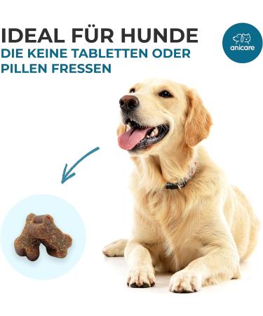 Anicare Premium Joint Care Chews for Dogs | Glucosamine Chondroitin MSM & Green Lipped Mussel - Top Choice for Joint Health - Buy Online on GoSupps.com