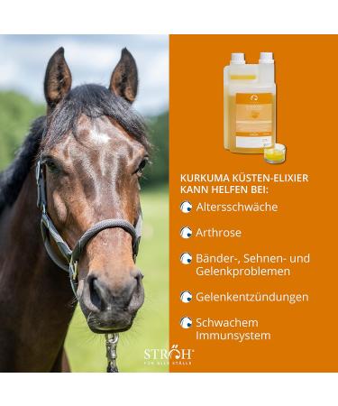 STR H Turmeric for Horses - 1L Dosing Bottle for Healthy Joints Cartilage & Ligament Support - Buy Online on GoSupps.com