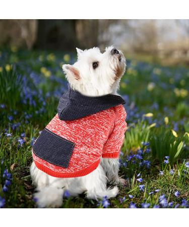 Waterproof Winter Dog Coat - Warm Jacket & Fleece Sweater for Puppies & Small Dogs - Autumn Pet Clothing (1107debkb-Red L) - Buy Online on GoSupps.com