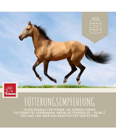 Devil's Claw Horse + Willow Bark Horse - First Aid Horse Joints - Devil's Claw + Equi P Booster - Glucosamine Locomotor System Support Horse - Tendons Ligaments 1L 30ml - Buy Online on GoSupps.com