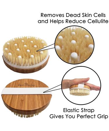 Natural Bristle Dry Brush Set for Exfoliating & Lymphatic Drainage | Anti-Cellulite Massager & Exfoliating Body Sponge | Includes Travel Bag - Buy Online on GoSupps.com