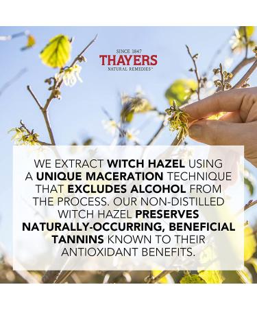 THAYERS Alcohol-Free Witch Hazel Toner with Aloe Vera - Rose Petal, 3 Fl Oz - Buy Online on GoSupps.com