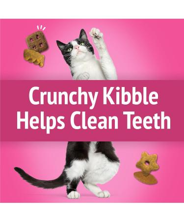 Friskies Party Mix Cat Treats California Dreamin' Crunch Real Chicken - 170 g Pouch (1 Pack) California Dreamin' Crunch 170 g (Pack of 1) - Buy Online on GoSupps.com