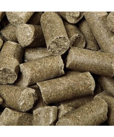 Speed Delicious Speedies Eucalyptus - Pferdeleckerli for Horses | Refreshing 1kg Snack with Best Ingredients - Buy Online on GoSupps.com