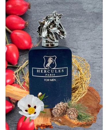 HERCULES PARIS EAU DE PARFUM 3.4 FL. Oz Aromatic Spicy fragrance for Men. - Buy Online on GoSupps.com