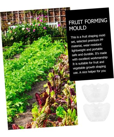 Kisangel 2pcs Ingot Shaped Mold Vegetables Cucumber Mold Fruit Growing Shaper Gardening Supplies Stereotypes - Buy Online on GoSupps.com