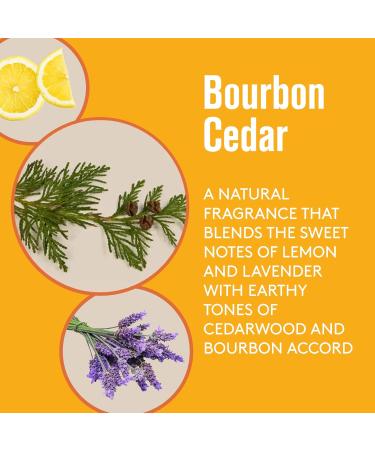 Barrel and Oak - Natural Fragrance Cologne Cologne for Men Eau de Cologne Essential Oil-Based Scent Cedarwood & Bourbon Aroma Subtle Earthy Fragrance Paraben Free Vegan (Bourbon Cedar 2.7 oz) Bourbon Cedar 2.7 Fl Oz (Pack of 1) - Buy Online on GoSupps.com
