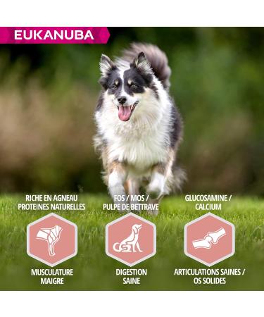 Eukanuba Senior Adult Dog Dry Food For Small and Medium Breeds Lamb & Rice 2.5kg - Buy Online on GoSupps.com