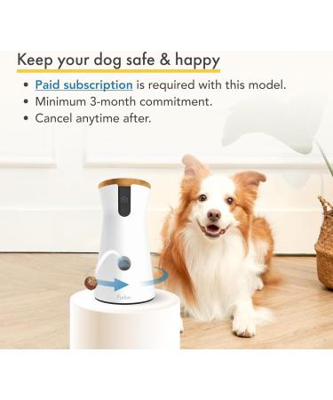 Furbo 360 Dog Camera w/Subscription Premium Safety Package Smart Camera Designed for Dogs 360 View Tracking Treat toss Barking & Home Emergency alerts. Indoor Usage 1080p Video Dog Cam - Needs Subscription - Buy Online on GoSupps.com