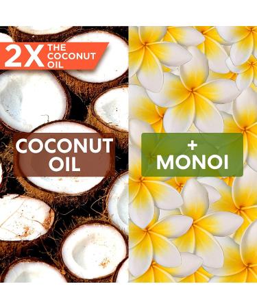 Palmers Coconut Hair Oil Protein Pack 2.1 Oz - Deep Conditioning Formula (Pack of 3) - Buy Online on GoSupps.com