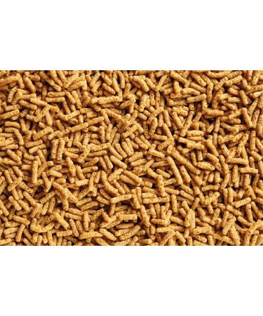 OASE Dynamix Sticks Vital 20 L Pond Fish Food Sticks for Pond Fish Rich in Vitamins and Minerals Regular Growth - Buy Online on GoSupps.com