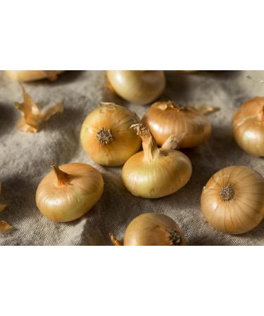 Buy Taldi Borettane Onions in Balsamic Vinegar - 300g Glass Jar | Authentic Italian Delicatessen - Buy Online on GoSupps.com