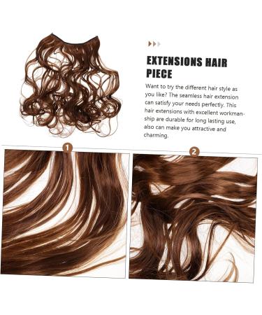 HAPINARY Wavy Hair Extensions Hair Clips for Curly Hair Crown Bows for Girls Ponytail Evil Eye for Car Curly Hair Wigs Straight Human Hair Wig High Temperature Wire Extend Curls 66x26x0.8cm Light Brown - Buy Online on GoSupps.com